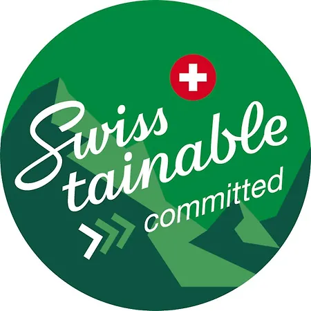 Lejlighed Spacieux Et Confortable Château-d'Oex