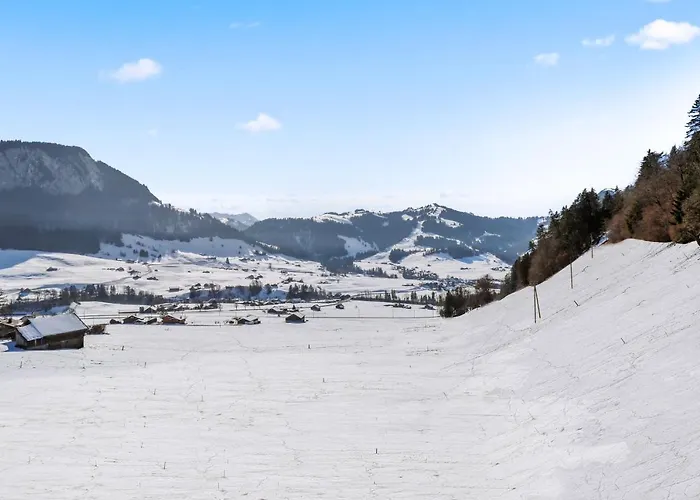Appartement Spacieux Et Confortable