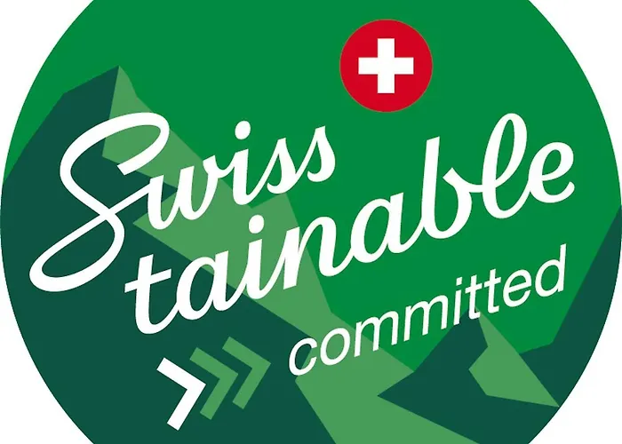 Appartement Spacieux Et Confortable Château-d'Œx